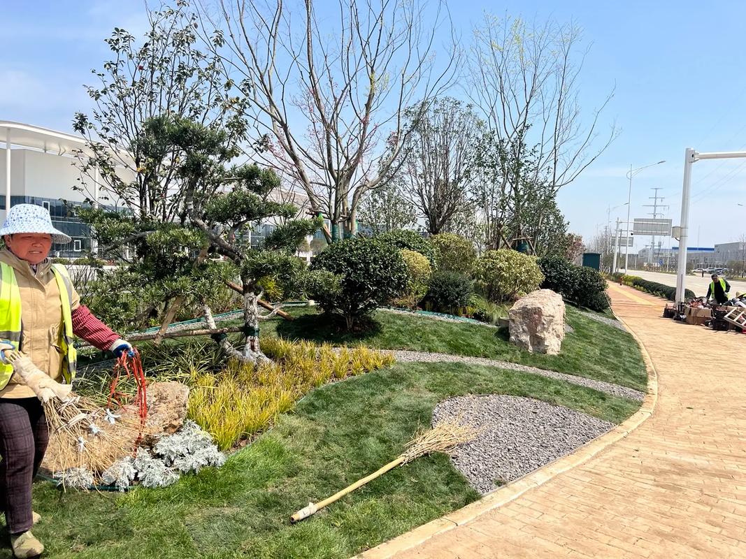 匠心營造綠意 園林綠化工程施工一線實拍與要點解析