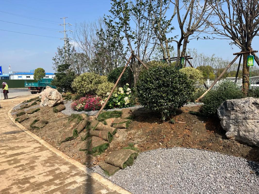 施工現場實拍 探索園林綠化工程的精細藝術與生態實踐