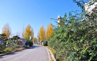資質取消后，如何確保園林綠化工程質量與施工管理