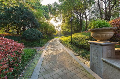 走出園林綠化建設的迷思 城市綠化工程中的常見誤區與改善路徑